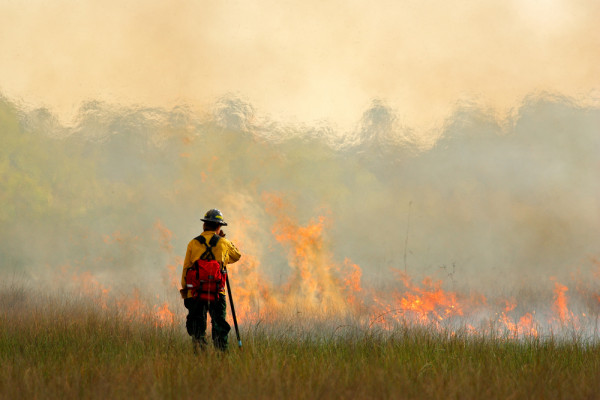 Wildfire-Season